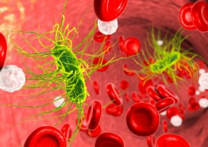 הליקובקטר פילורי